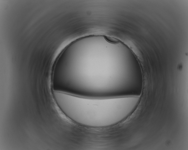 X0000093410904200710120913