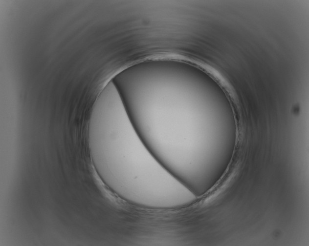 X0000093410905200710120913