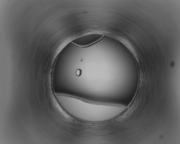 X0000093410906200710120913
