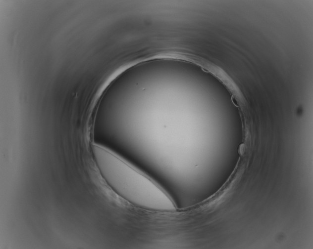 X0000093410908200710120913