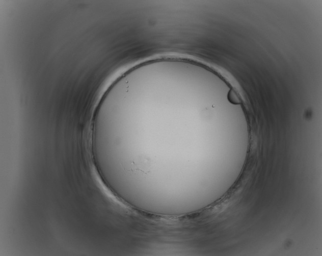 X0000093410911200710120913