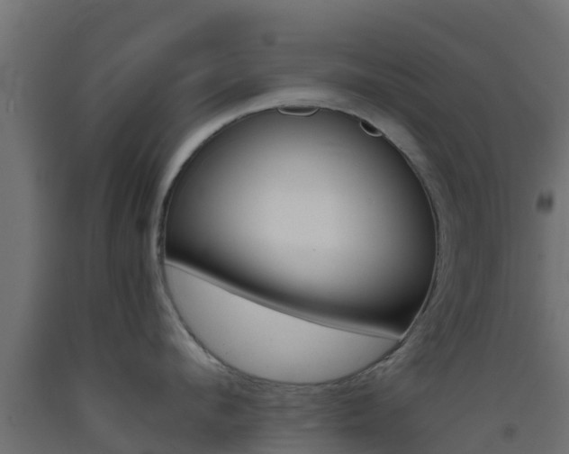 X0000093410912200710120913