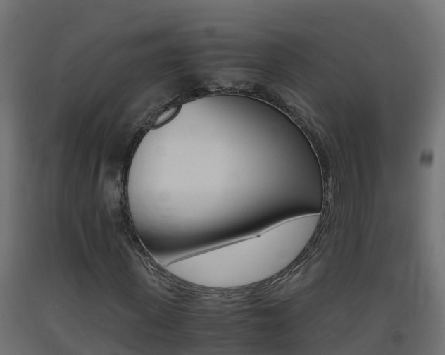X0000093410915200710120913