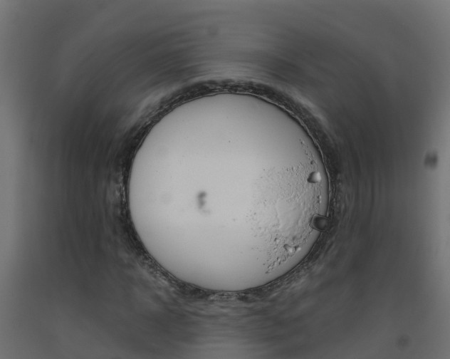 X0000093410918200710120913