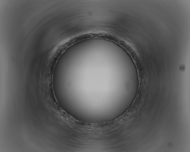 X0000093410920200710120913