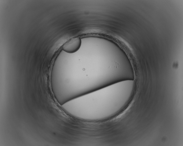 X0000093410921200710120913
