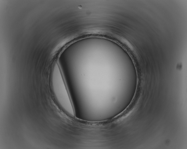 X0000093410922200710120913