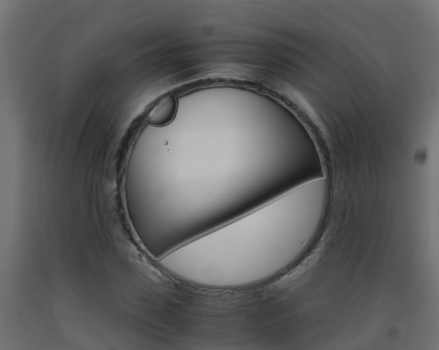 X0000093410923200710120913