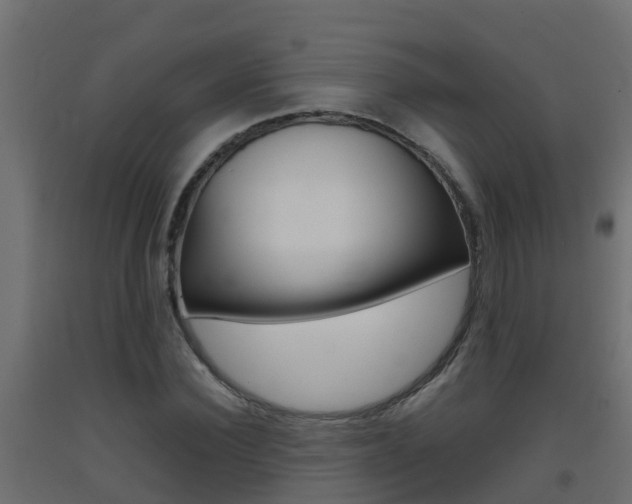 X0000093410924200710120913