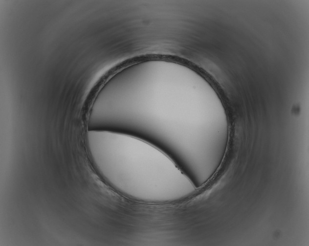 X0000093410926200710120913
