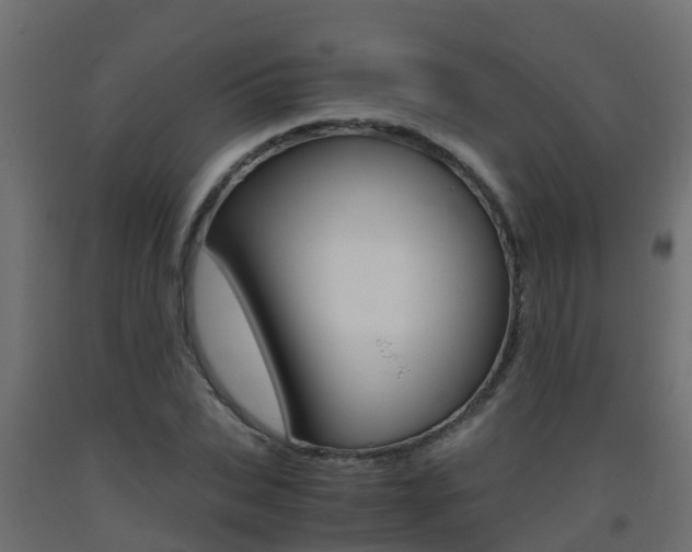 X0000093410927200710120913