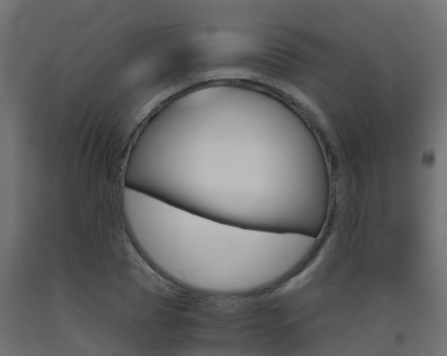 X0000093410929200710120913