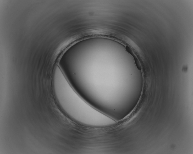 X0000093410930200710120913