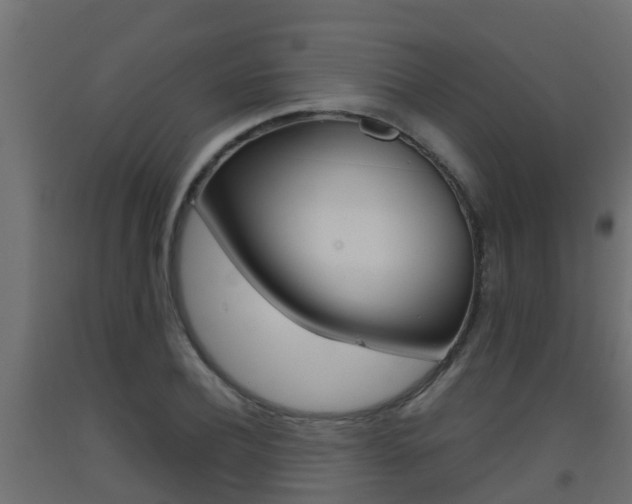 X0000093410932200710120913