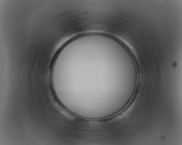X0000093410933200710120913