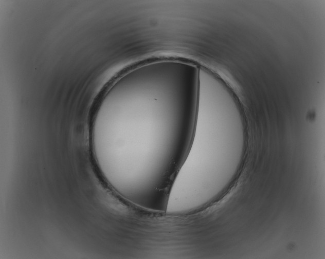 X0000093410934200710120913