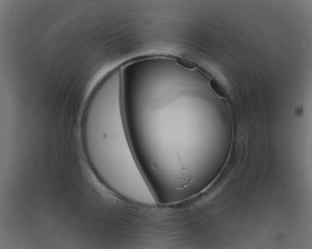 X0000093410936200710120913