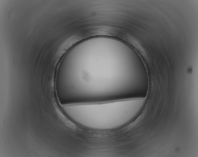 X0000093410938200710120913