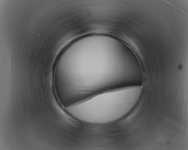 X0000093410939200710120913