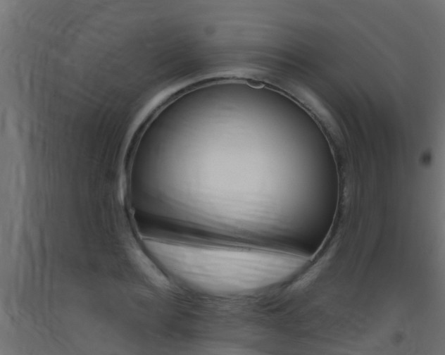 X0000093410940200710120913