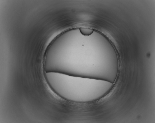 X0000093410941200710120913
