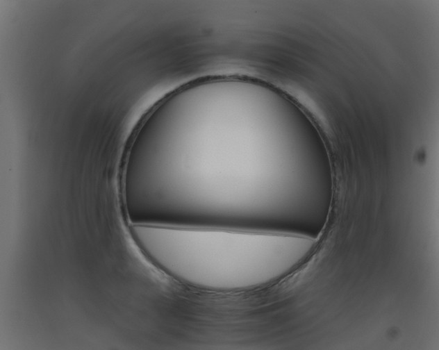 X0000093410943200710120913