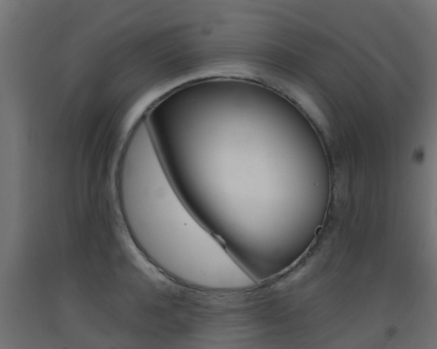 X0000093410944200710120913