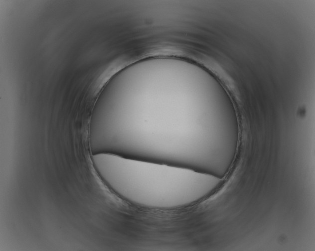 X0000093410945200710120913