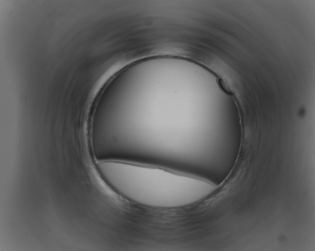 X0000093410947200710120913
