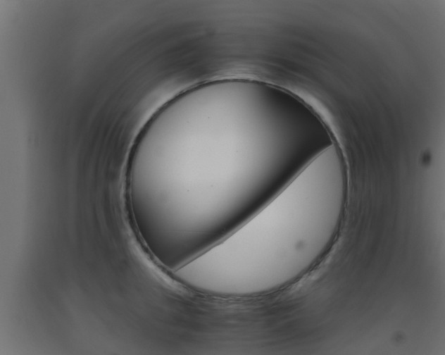 X0000093410949200710120913