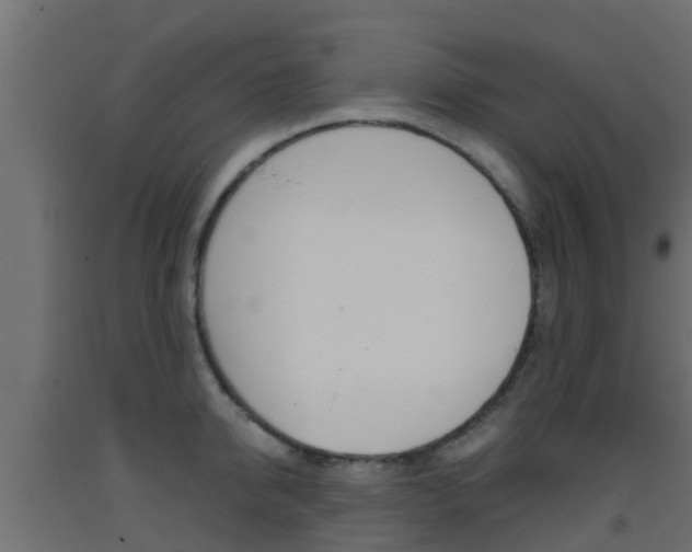 X0000093410950200710120913