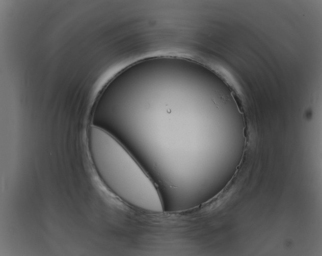 X0000093410952200710120913