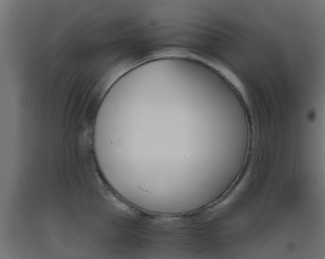 X0000093410953200710120913
