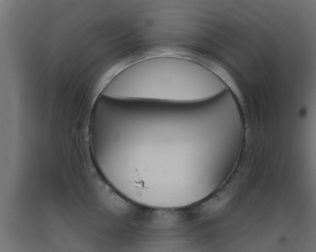 X0000093410954200710120913
