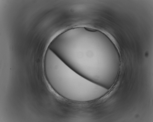 X0000093410957200710120913