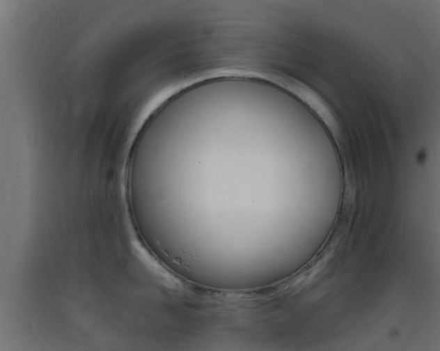 X0000093410958200710120913