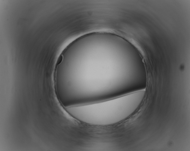 X0000093410959200710120913