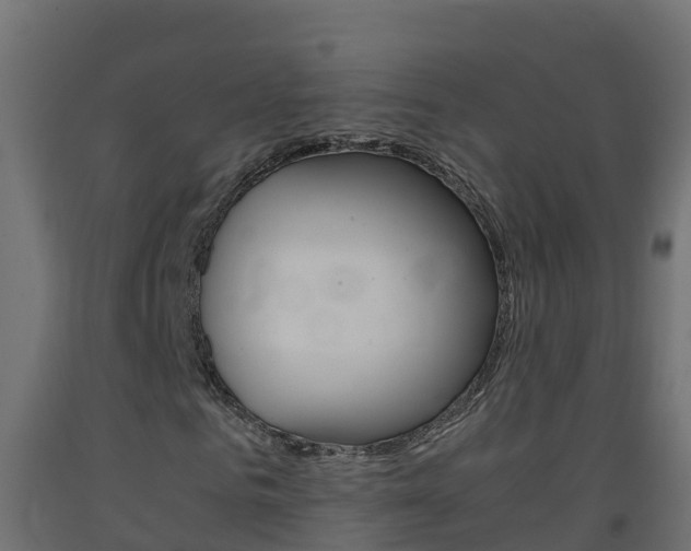 X0000093410961200710120913