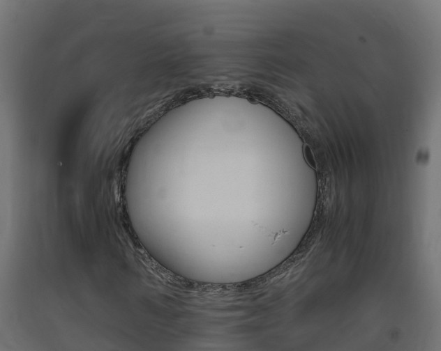 X0000093410962200710120913