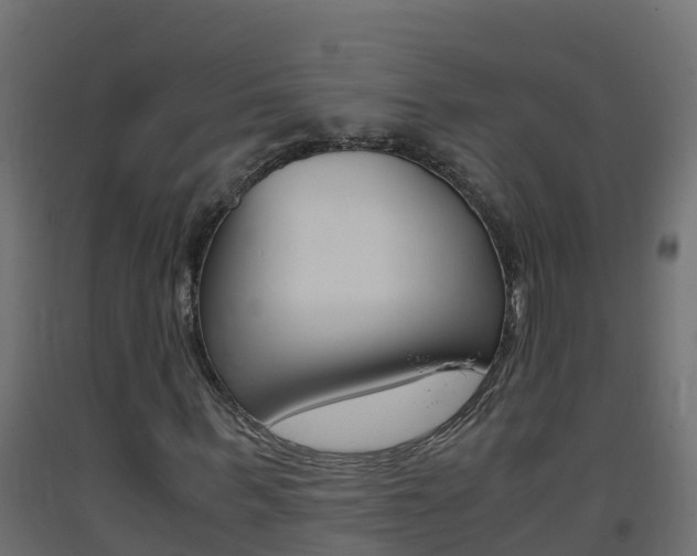 X0000093410963200710120913