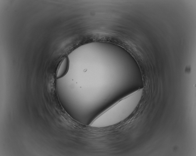 X0000093410964200710120913
