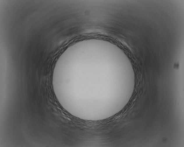 X0000093410965200710120913