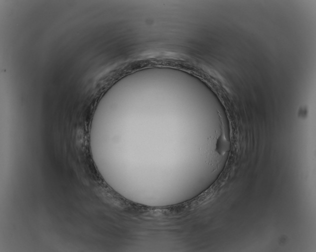 X0000093410966200710120913