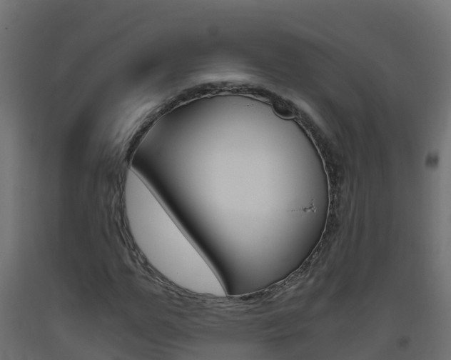 X0000093410967200710120913
