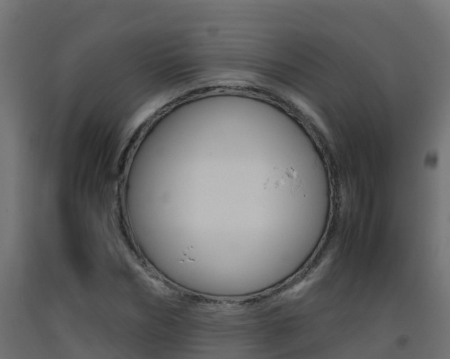 X0000093410970200710120913