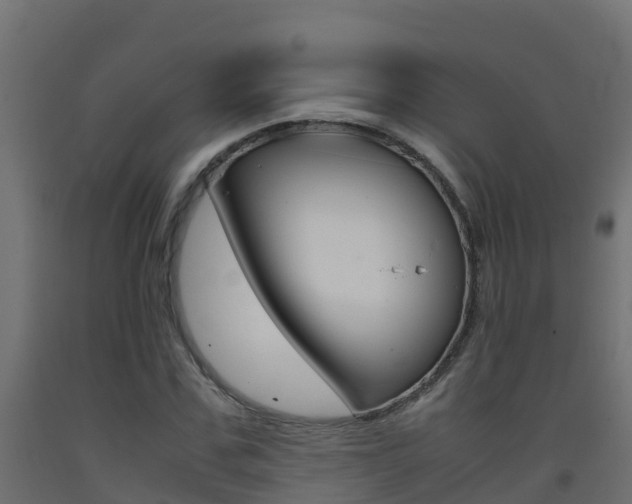 X0000093410971200710120912