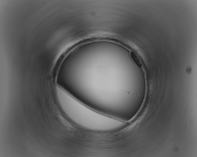 X0000093410973200710120912