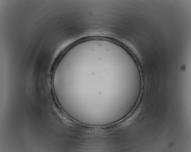 X0000093410974200710120912