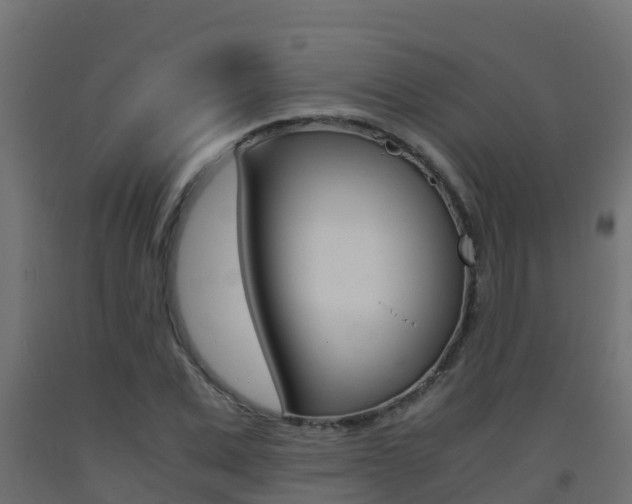 X0000093410975200710120912
