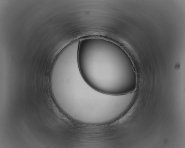 X0000093410977200710120912